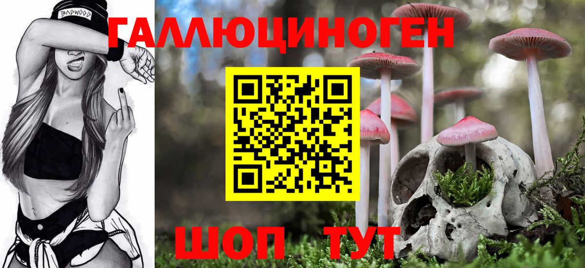 Псилоцибиновые грибы MAGIC MUSHROOMS Рубцовск